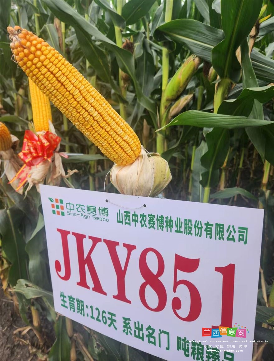 线上招聘快手抖音农业主播